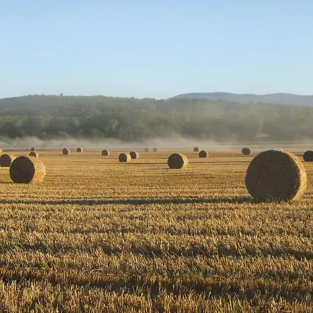 La Fenass * Noailhac (Tarn)