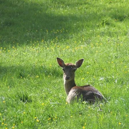 La Fenass Lejlighed *