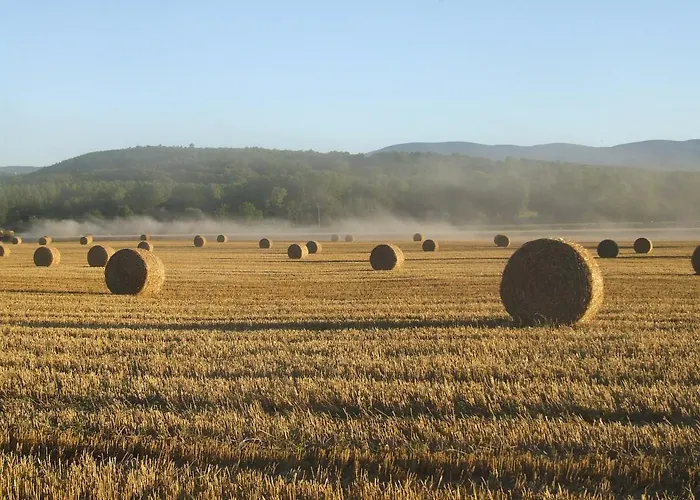 La Fenass * Noailhac (Tarn)